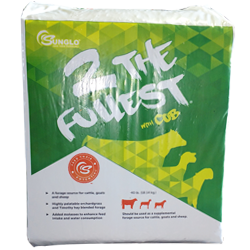 Sunglo 2 the Fullest