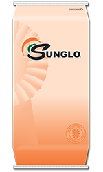 Sunglo Sow Base