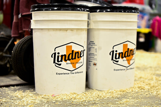 6-Gallon Bucket with Lid