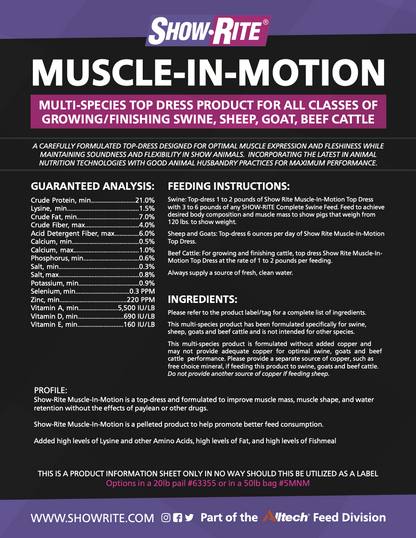SR Muscle In Motion