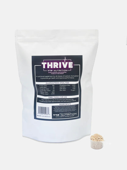 TTF Thrive