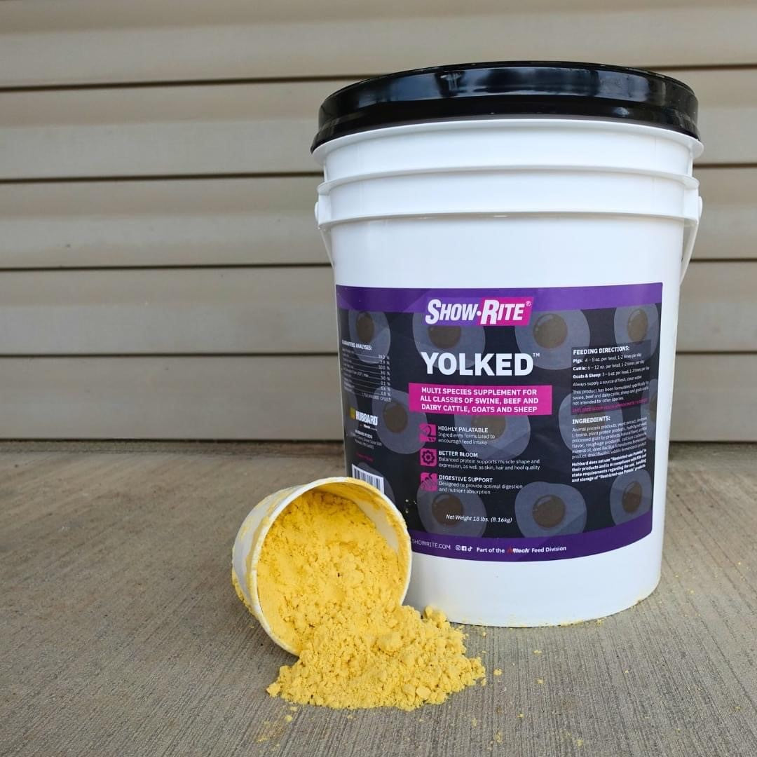 Show-Rite Yolked – Matthews Feed and Grain